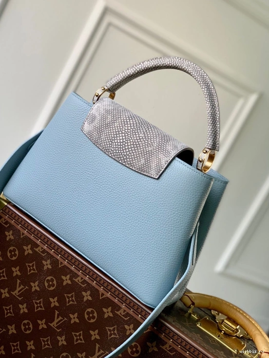WIS LOUIS MM VUITTON CAPUCINES 0925